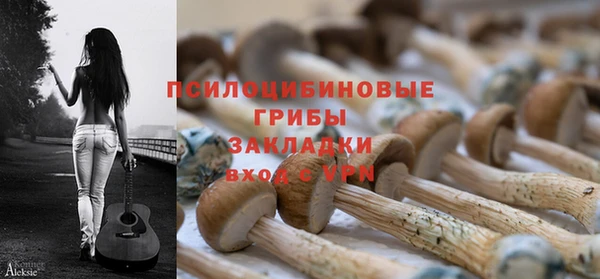 синтетический гашиш Козловка