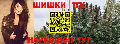 соль ск Кингисепп