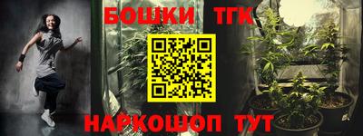 spice Кимры