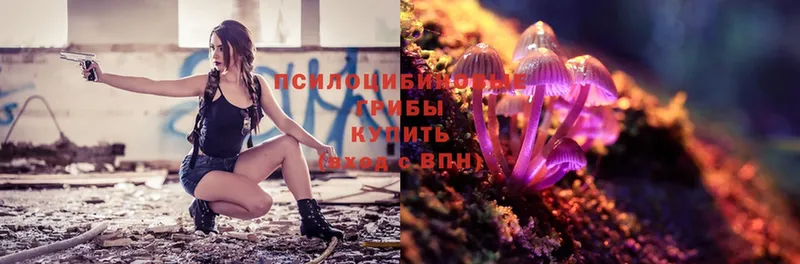 Псилоцибиновые грибы Psilocybe  hydra ссылки  Урай 